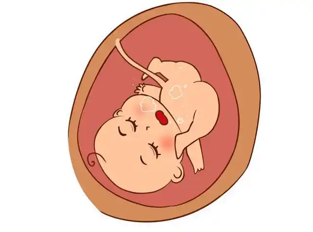 觉得怀孕辛苦,原来是宝宝偷偷在妈妈肚子里做这些事!