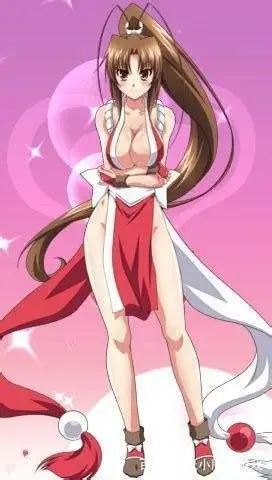 不知火舞入门手册