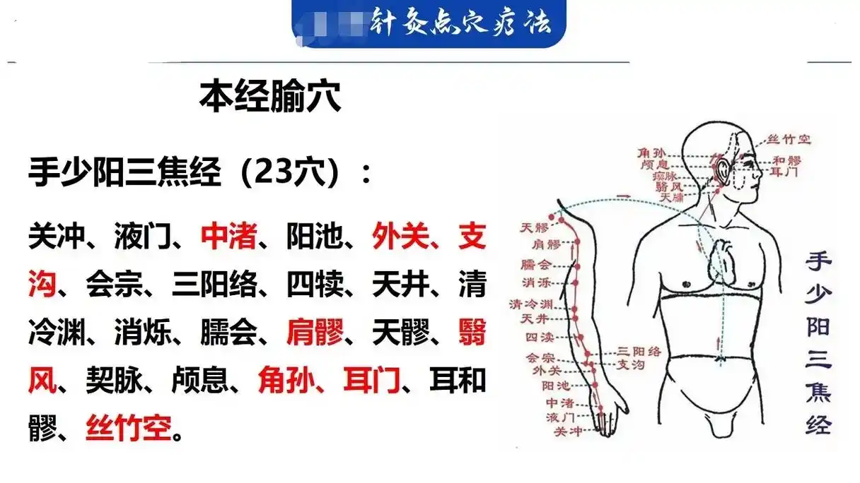 针灸点穴【十二经络之手少阳三焦经调理】#传承中医文化 - 抖音
