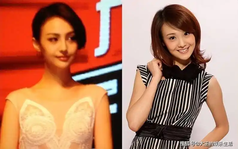 今却无力执行罚款,郑爽的热搜是愚人节最大的笑话_胡彦斌_张翰_偶像