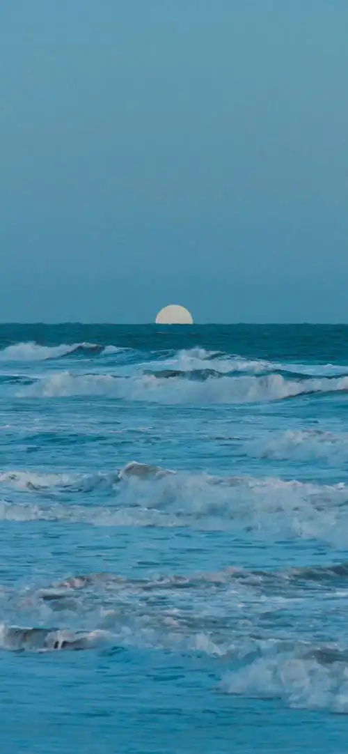 风景壁纸##聊天背景图##手机壁纸