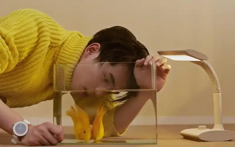 刘昊然帅气写真图片桌面壁纸