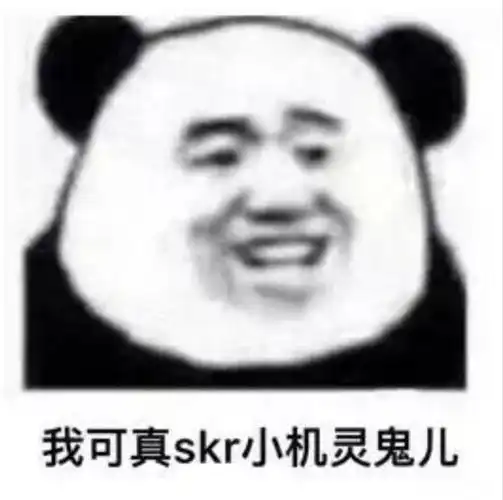 我可真skr小机灵鬼儿(熊猫头)_可真_skr_机灵鬼_熊猫表情
