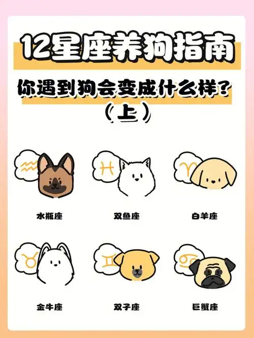 12星座养狗指南