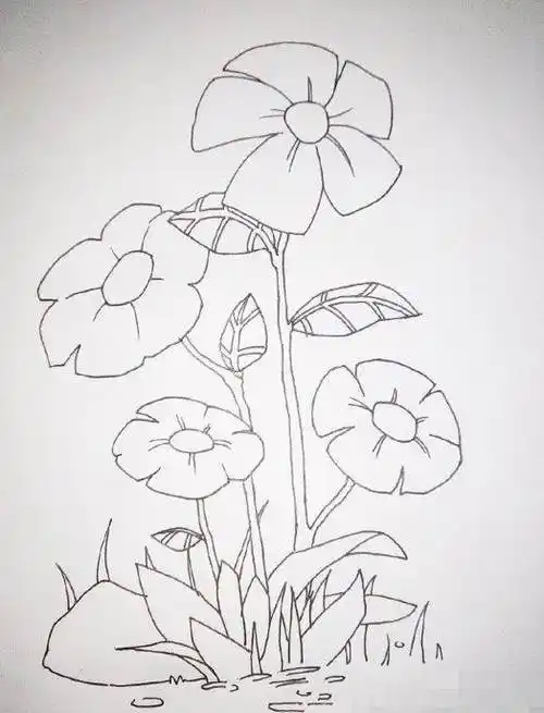 简笔画教程—简笔画花朵怎么画,一步一步教大家画美丽的花朵各种花的