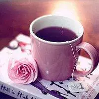 淡雅书香头像图片好看唯美的书籍唯美意境高清图片头像