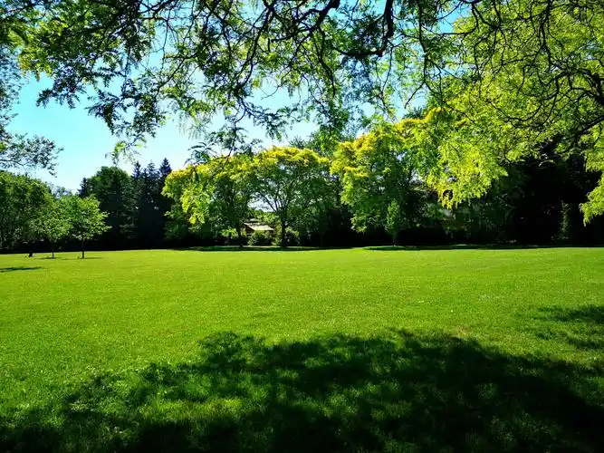 晴空万里艳阳高照,公园的草木更加艳丽,看着满眼的美景心情特别舒畅