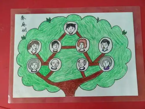 阳光三宝双喜幼儿园小一班第3周主题活动——《家庭树》(社会领域)