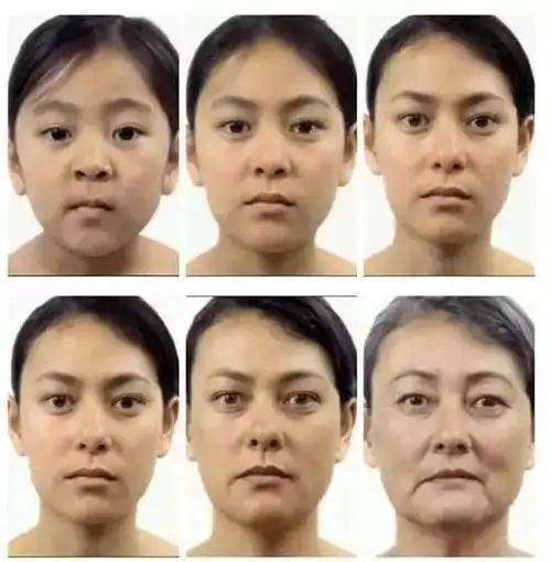 之前有一部科学家模拟人的衰老过程的片子,叫做《一分钟年华老去》.