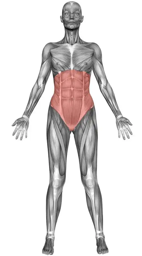 你还在用仰卧起坐练腹肌这才是正确且高效的腹肌练习法