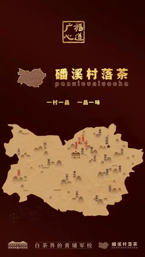 早在国营茶厂经营时期,就已在福鼎磻溪镇各个产区选取了优质茶基地以