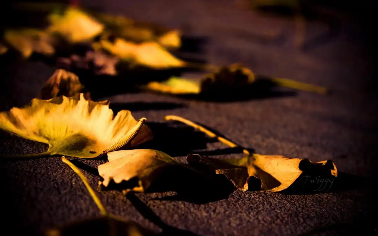 冷色调桌面,高清壁纸图片,色彩背景-回车桌面