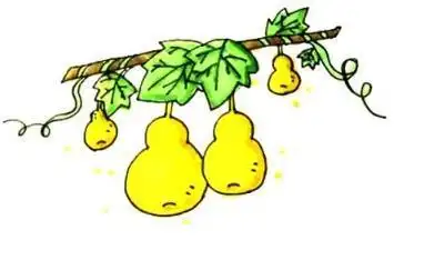 儿童简笔画大树挂葫芦