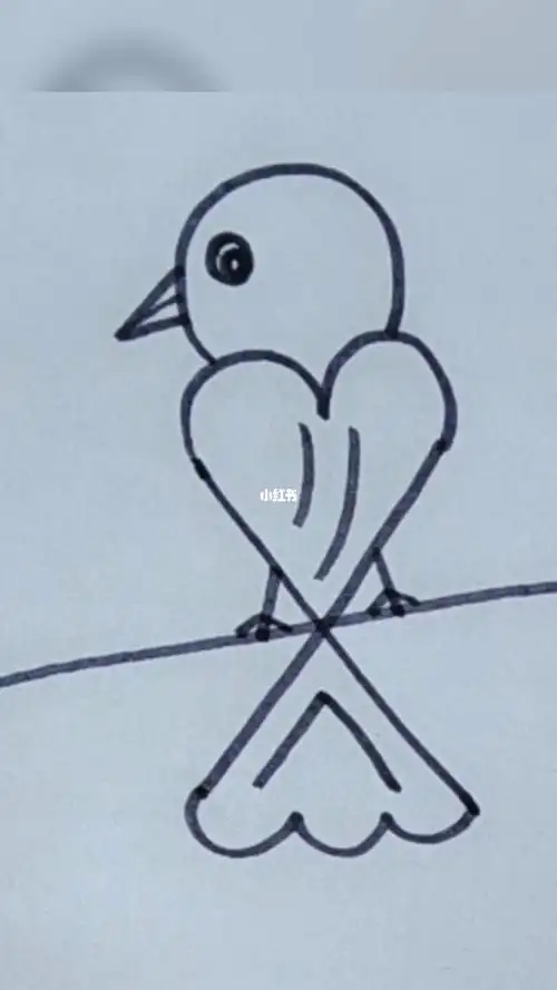简单画小鸟