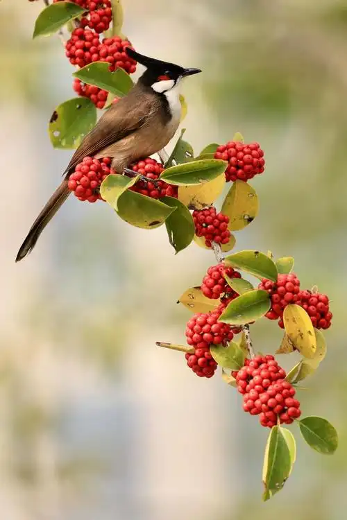 640_960竖版 竖屏