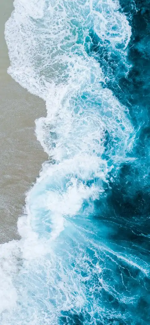 2525_5464竖版 竖屏