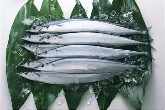 马步鱼有何特点?