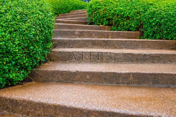 一步棕色小石头和混凝土台阶与绿色植物在楼梯的步行方式旁边