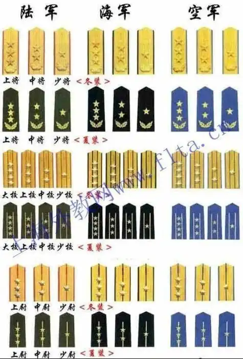 中国军衔等级肩章排列 - 搜狗图片搜索