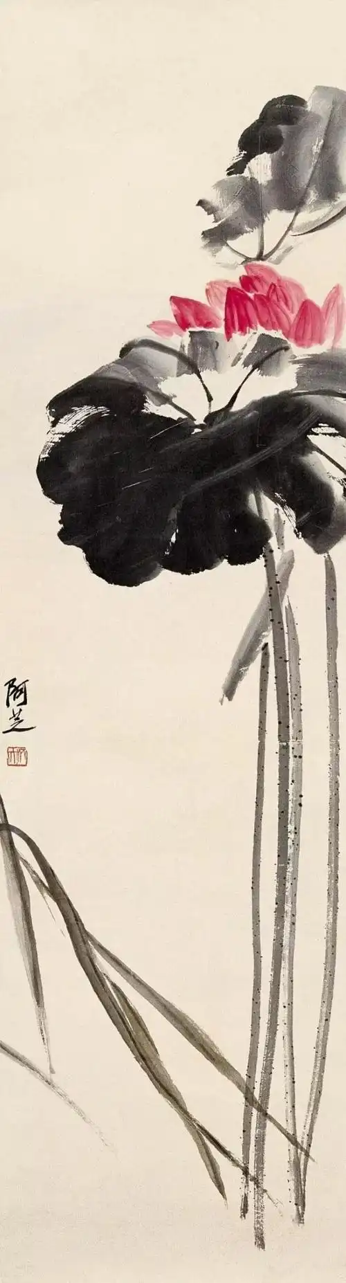 齐白石 荷花作品辑录_网易订阅