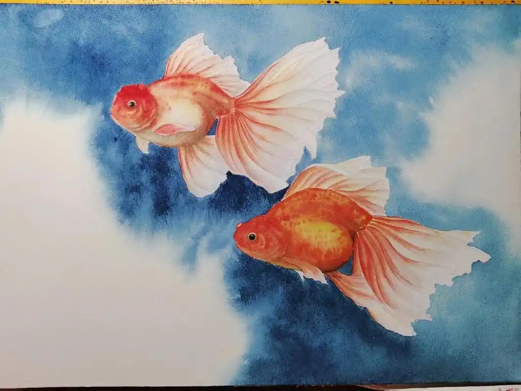金鱼#水彩 #手绘 #画画 #一起学画画 #水彩画 #自学  - 抖音