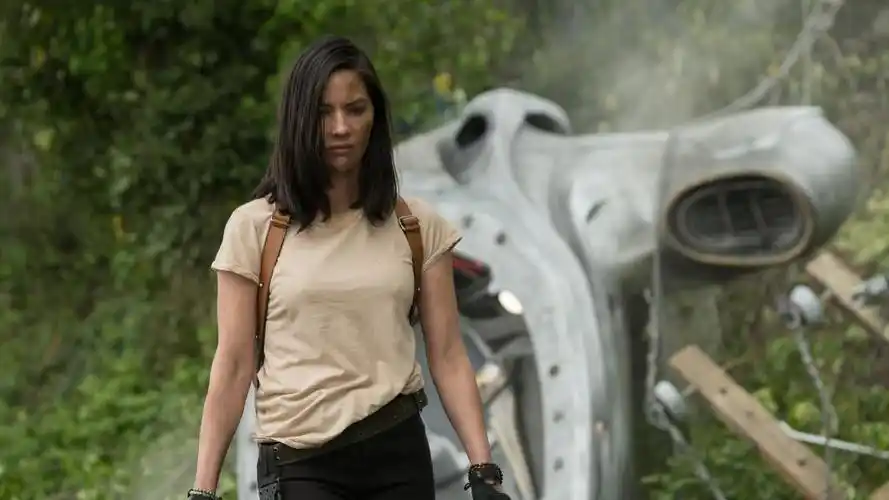 铁血战士predator42018