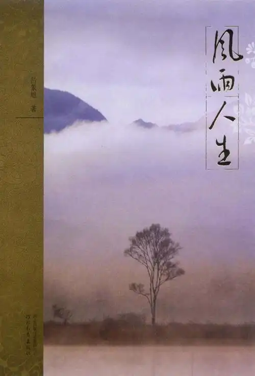 当当阅读器 - 风雨人生