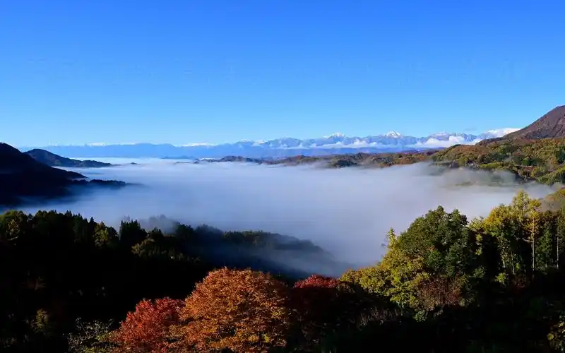 【4k超高清日本】第一视角 云海和三段红叶很美的大望岭和白马山麓