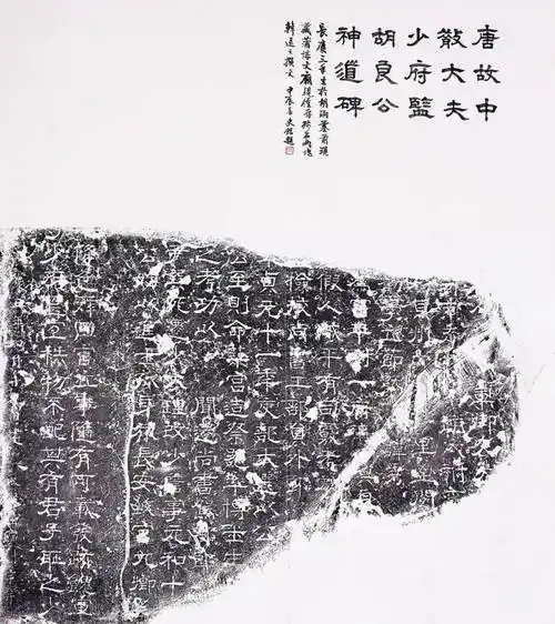 金石契|"汉唐华章——长安金石拓本题跋展"在镇江焦山书画院开幕