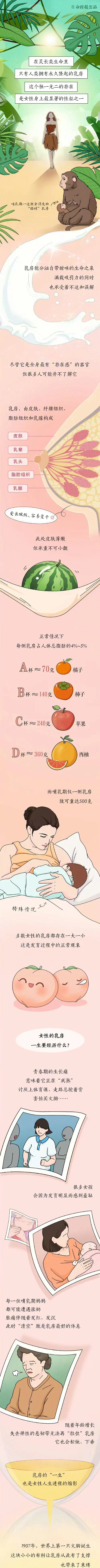 能达到"丰胸"效果的产品大多额外添加了人工雌激素,违背自然规律,干扰