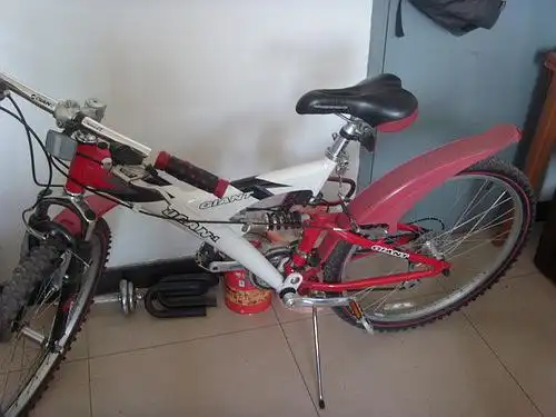 交换俩自行车 老款 捷安特 ucan1 骚红