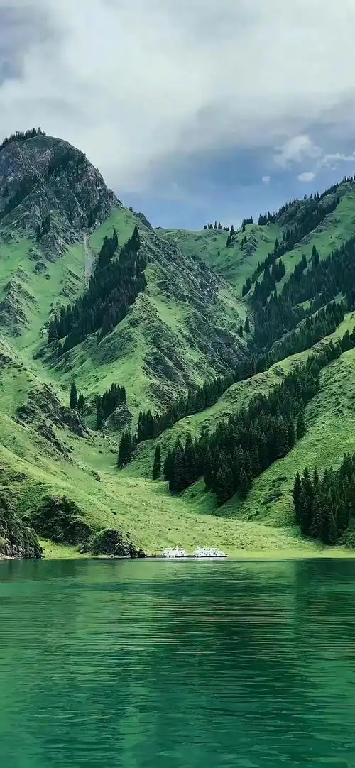 壁纸 | 高清养眼绿色壁纸,熬夜党看过来