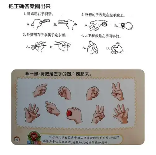认识左右