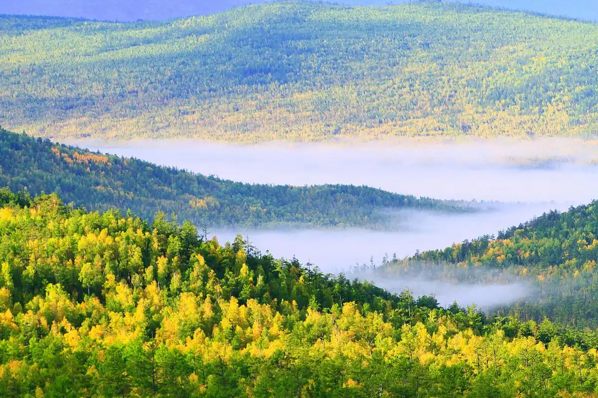 然而,深邃的森林里却是一片清凉.树荫下,泉水潺潺,沁人心脾.