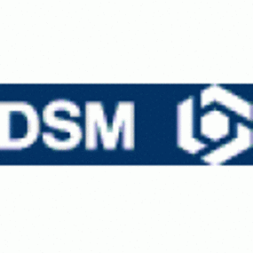 帝斯曼(中国)有限公司电工招聘 - 职友集