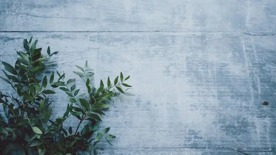 简约(电脑壁纸) - 知乎