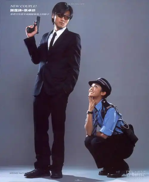 新警察故事