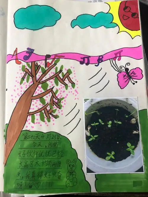 2.6班植物绘本展示