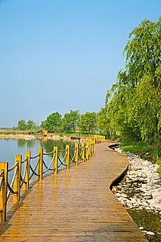 沿湖木栈道