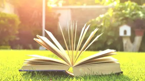 书,草,阳光 壁纸 - 1600x900