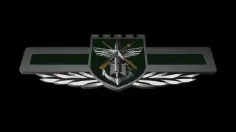 07战区胸标ae模板