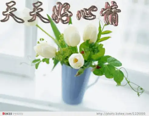 > ￥寻牛校尉直播室￥的直播室 查看原图祝大家一周每天都有好心情!