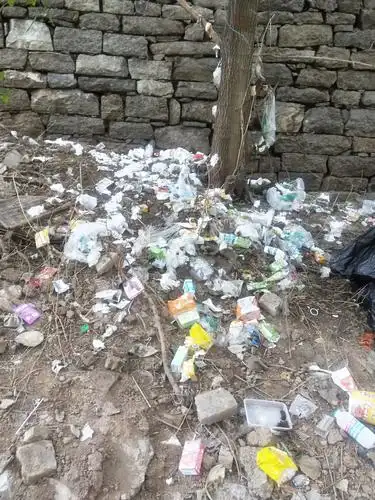 清理前周村西小树林乱扔垃圾