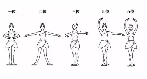 手位(有的七位会回到一位,凑足一个八拍) ▼《葛蓓莉亚》 "古典芭蕾"
