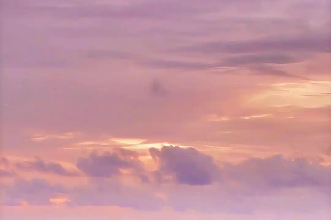 所以有不少粉色控的小仙女在举办婚礼的时候,想必就是很多人都喜爱的