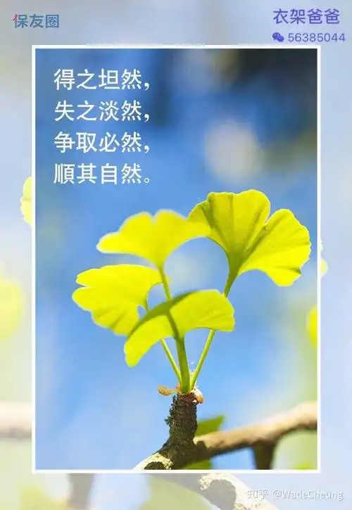 得之坦然,失之淡然,争取必然,顺其自然.