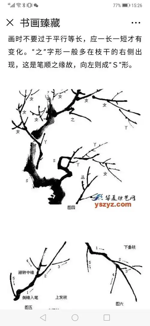 梅花课件及名家作品