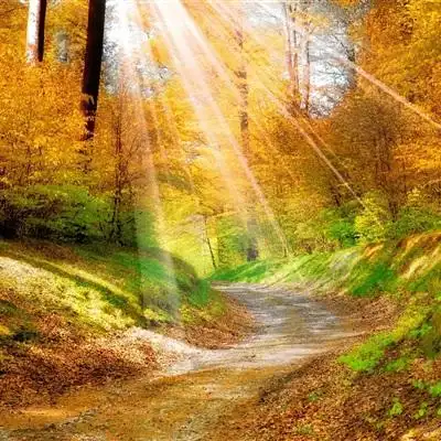 头像大自然头像2020最美大自然的风景头像图片