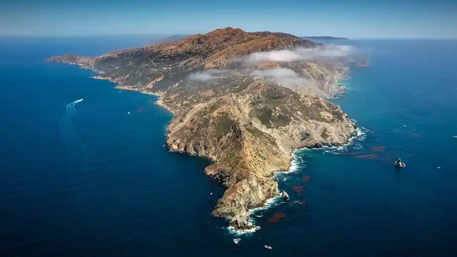 macos catalina动态5k高清桌面壁纸