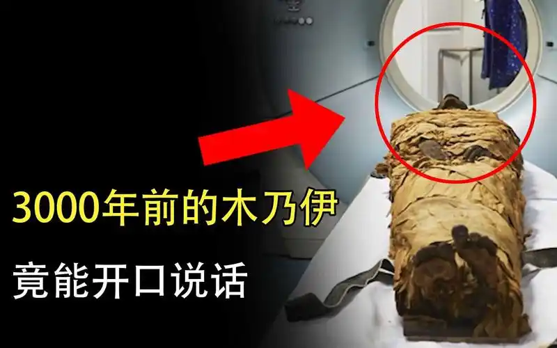 3000年前的木乃伊,竟然开口说话了!_哔哩哔哩_bilibili